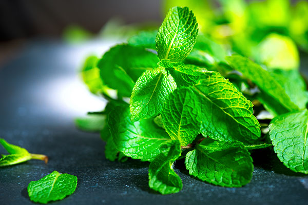Mint Leaf Ingredient
